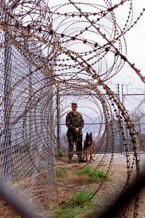 [fema-camp-soldier-dog-fence.jpg]