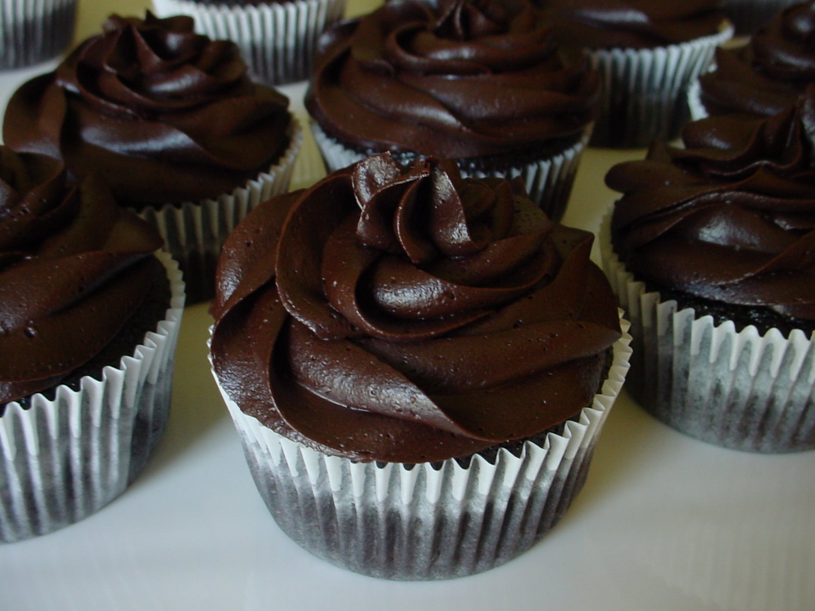 [chocolate+cupcakes.jpg]