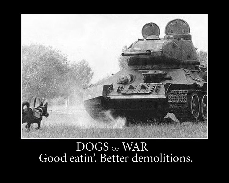 [dogs_of_war.jpg]