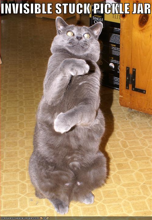 [funny-pictures-cat-invisible-pickle-jar.jpg]