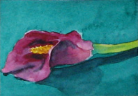 [012-Mini-Painting+013+(Red+Calla+Lily).jpg]