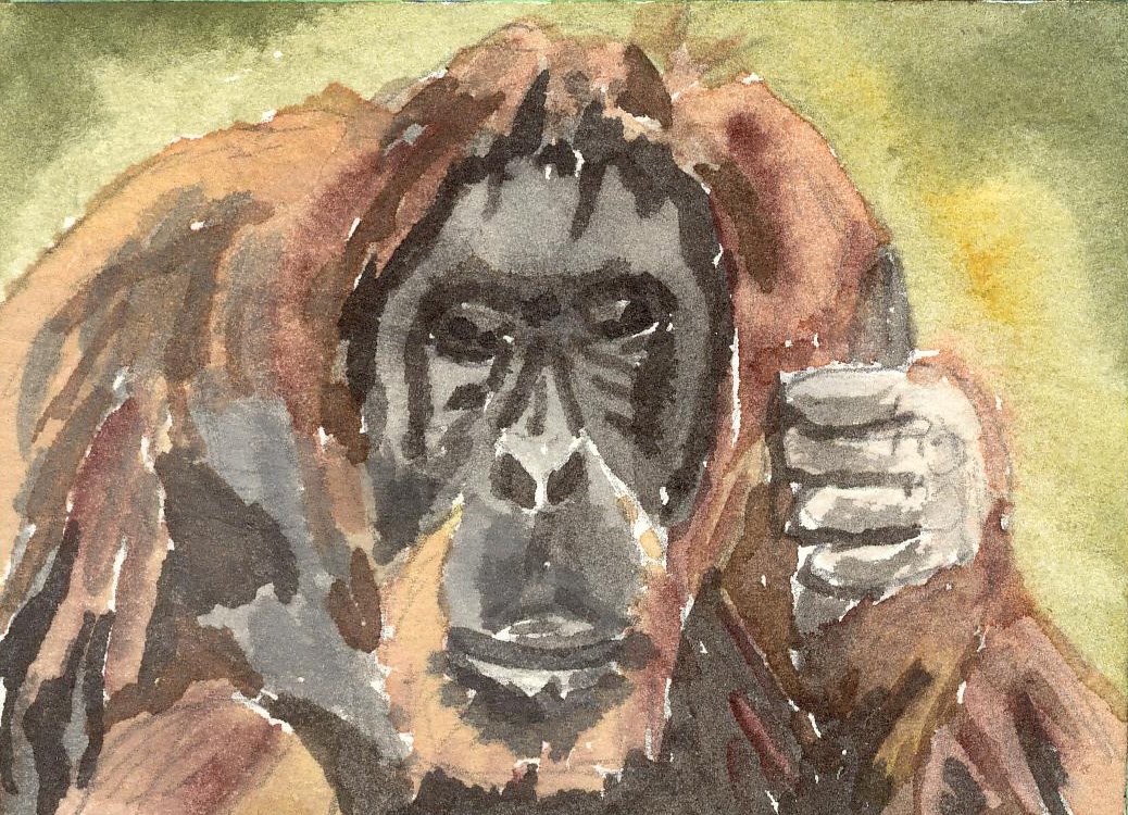 [210-Mini-Painting+124+(Orangutan).jpg]