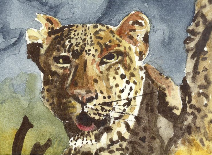 [215-Mini-Painting+128+(Leopard).jpg]