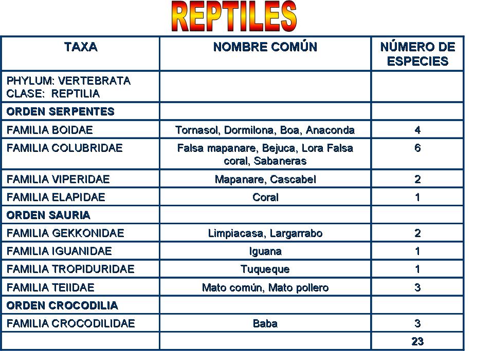 [reptiles.JPG]