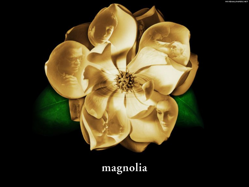 [magnolia-1-1024.jpg]