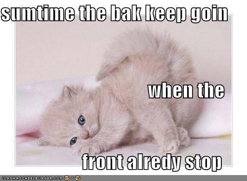 [funny-pictures-white-kitten-cant-walk1.jpg]