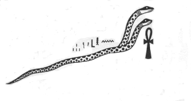 [serpent.jpg]