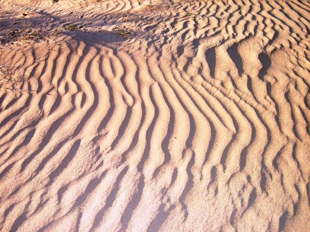 [2008+03+27+01+Sand+Dunes+29+Palms+California.jpg]