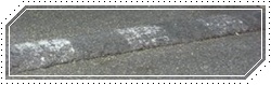 [250px-Speed_bump_(asphalt).jpg]