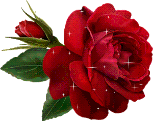 [rosa+roja.GIF]