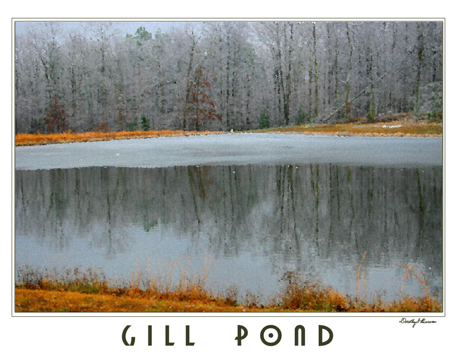 [Gill-Pond-Jan.-2005.jpg]