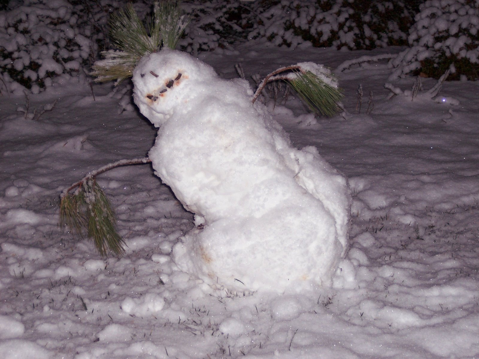 [snowman2nd+1-19-08.jpg]