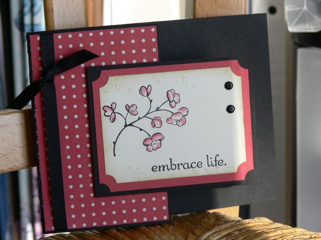 [Embrace+Life+slit.JPG]