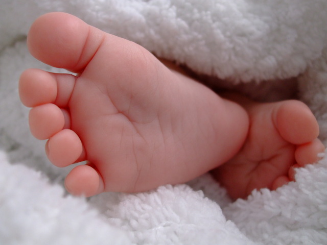 [baby+feet.jpg]