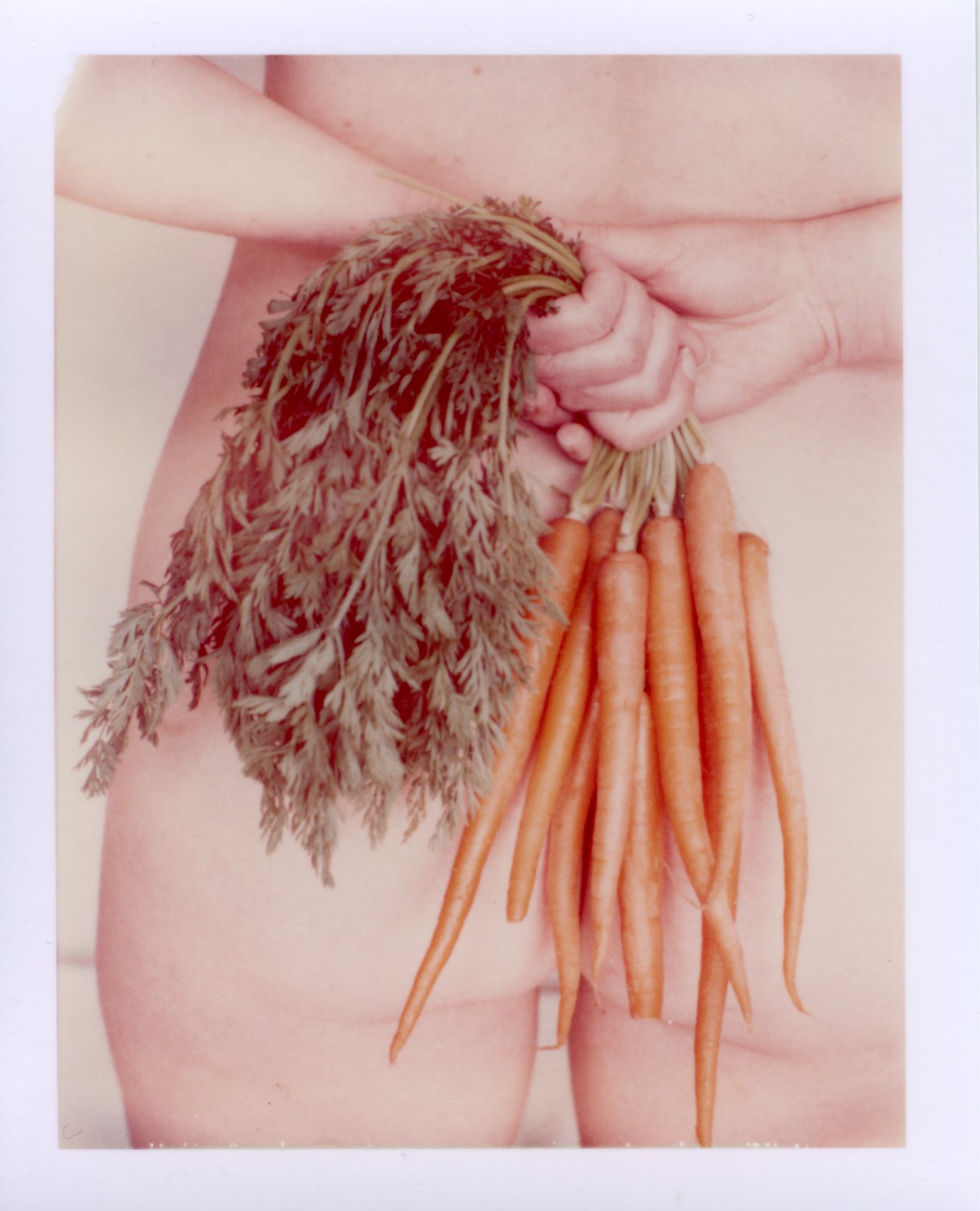 [Carrotss.jpg]