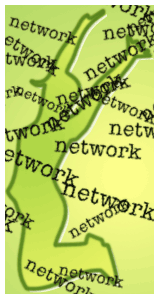 [network-network.gif]