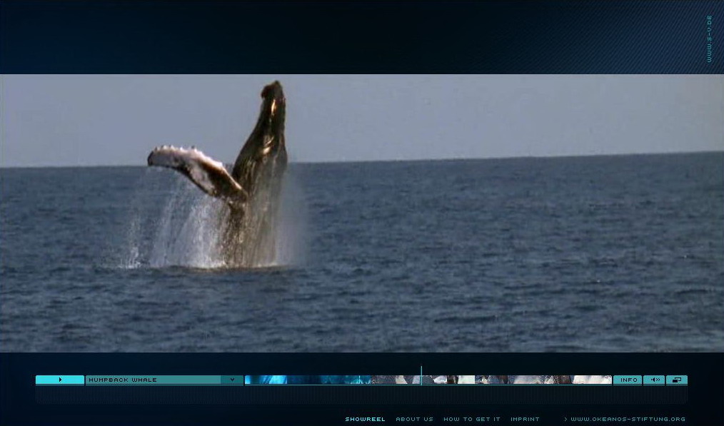 [Okeanos+-+Humpback+whale.jpg]