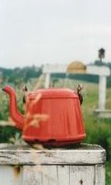 [teapot.bmp]