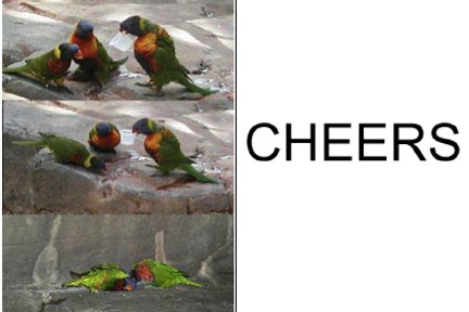 [drunk-parrots.jpg]