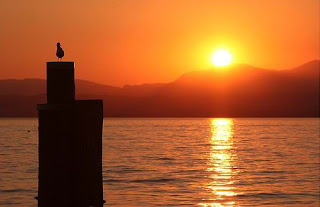 lake-garda-sunset-bird-on-post-b.jpg