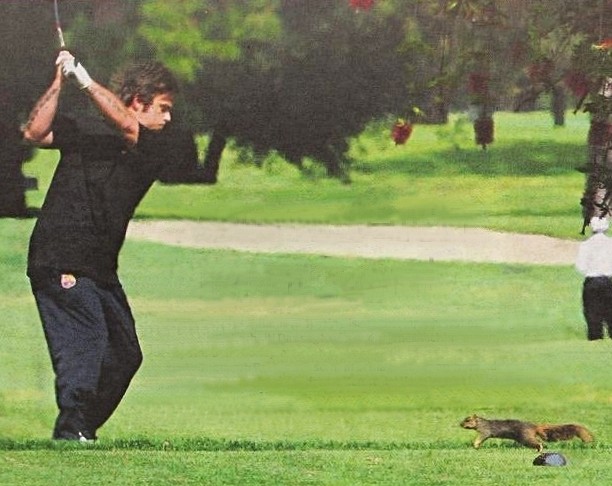 [Golf+aprile+2008+scoiattolo+cut.jpg]