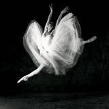 [thKN489The-National-Ballet-of-Cuba.jpg]