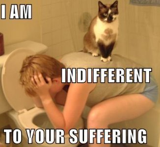 [funny-pictures-cat-on-vomiting-pers.jpg]