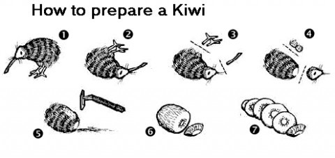 [HOW+TO+PREPARE+A+KIWI.jpg]