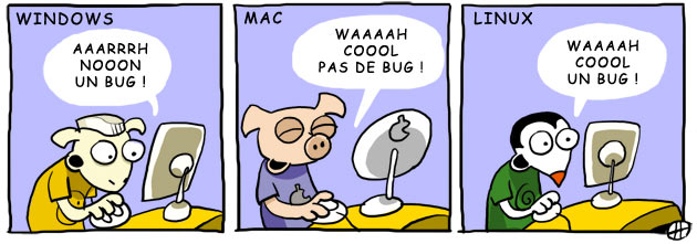 [10_win_mac_linux_bug_630_fr.jpg]