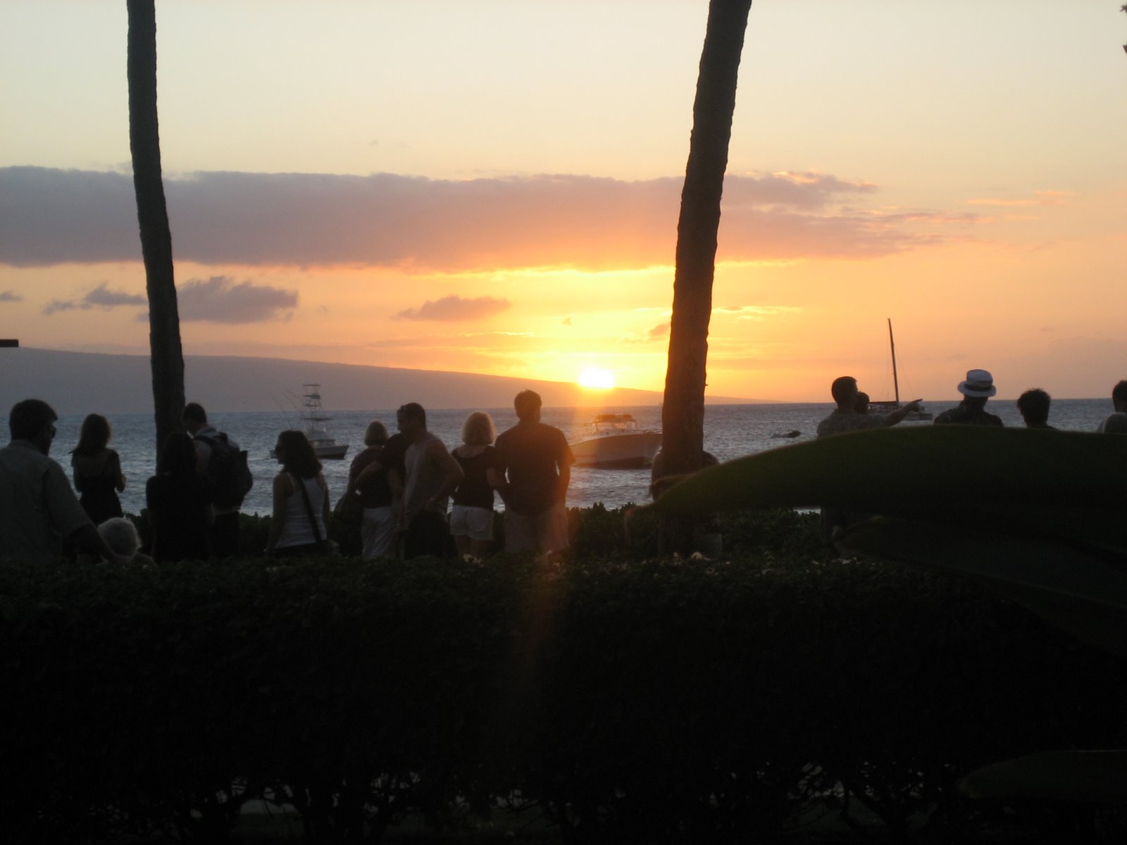 [maui+and+misc.+march+pics+010.JPG]