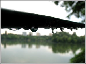 [Rain_by_BlackKittenn.jpg]