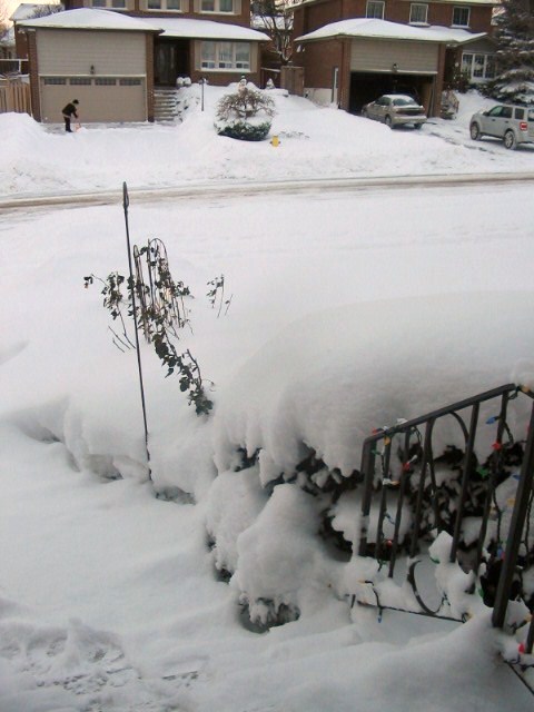 [Dec+Snow+2007+002.JPG]