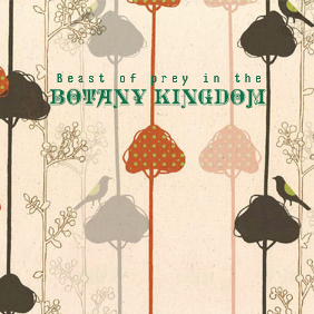 [Beast+of+prey+in+the+botany+kingdom.jpg]