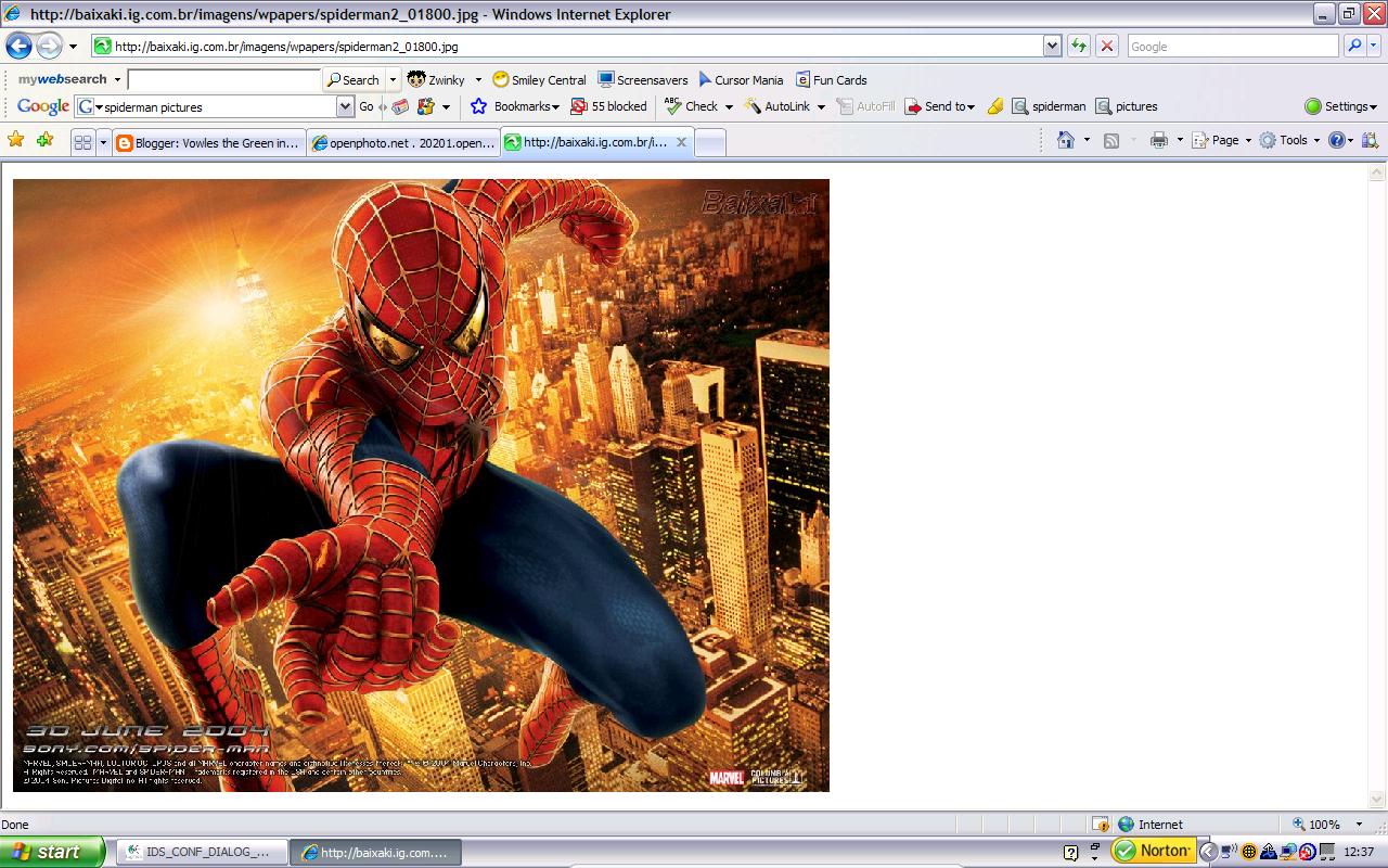 [spiderman+screenshot.JPG]