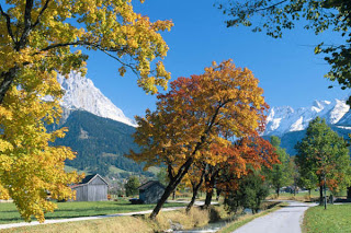 duvar katlar Ehrwald+in+Autumn,+Alps,+Tyrol,+Austria-793462