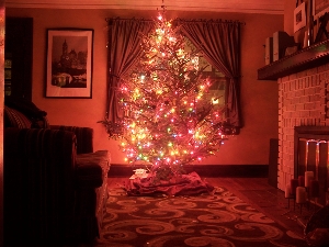 [christmas_tree.jpg]