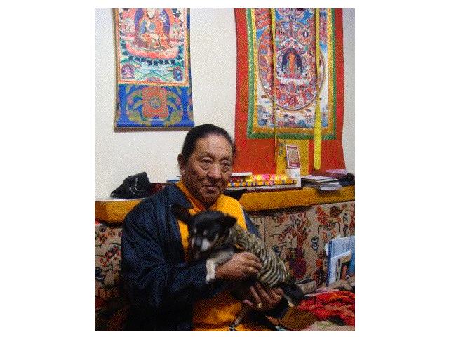 [Rinpoche+and+dog2.jpg]