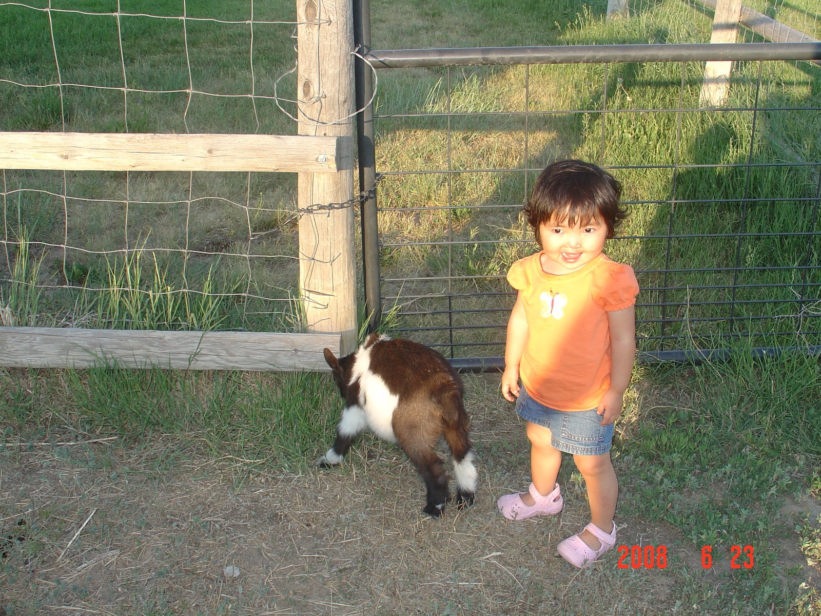 [goats+2008+075.JPG]