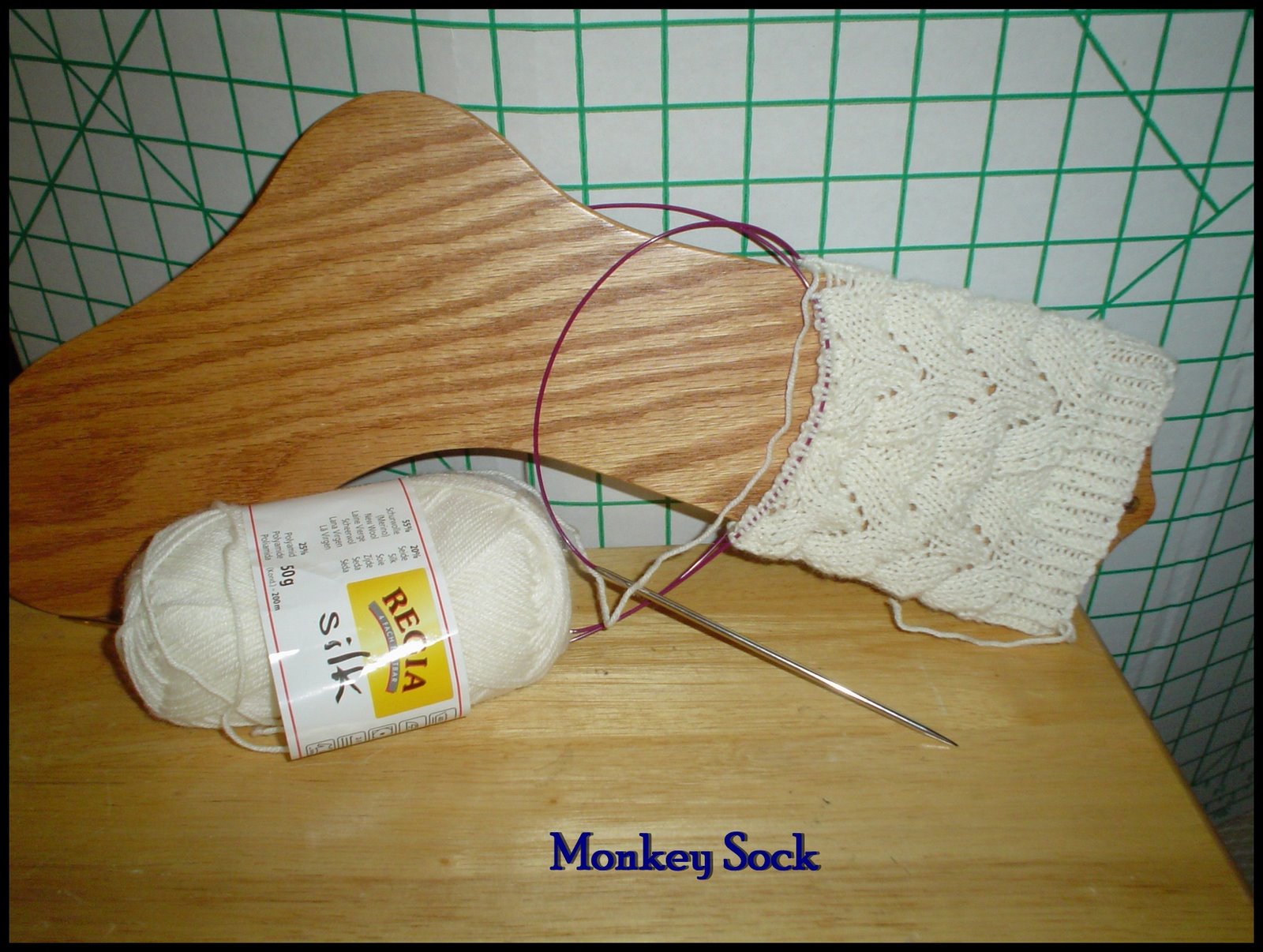 [monkey+sock.jpg]