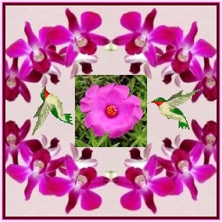 [Latest+avatar-flowers+birds.jpg]