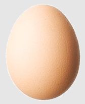 [uovo intero.jpg]