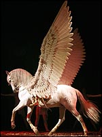 [spirit_of_the_horse_pegasus_150x200.jpg]