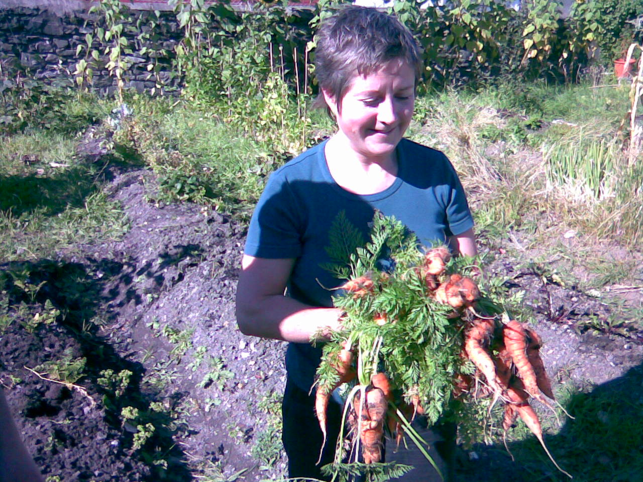 [Berrit+with+a+harvest+of+carrots.jpg]