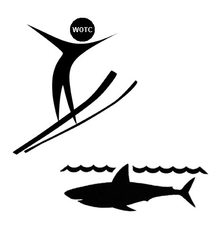 [WOTC+jumps+the+shark.bmp]
