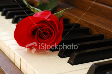 [ist2_2628160_red_rose_on_a_piano.jpg]