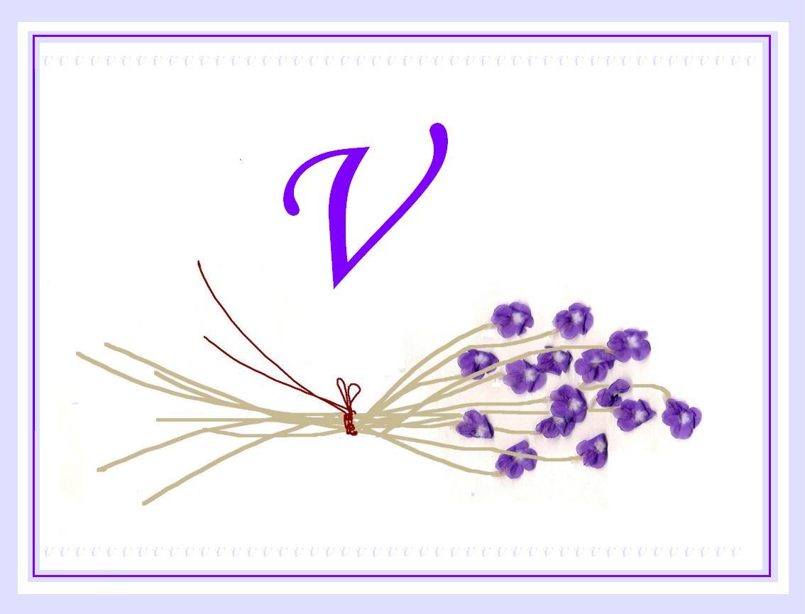 [violets.JPG]