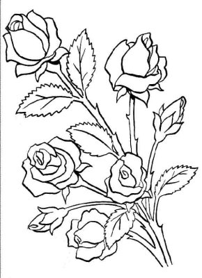 [rosas+para+colorir.jpg]