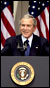[president+Bush.jpg]