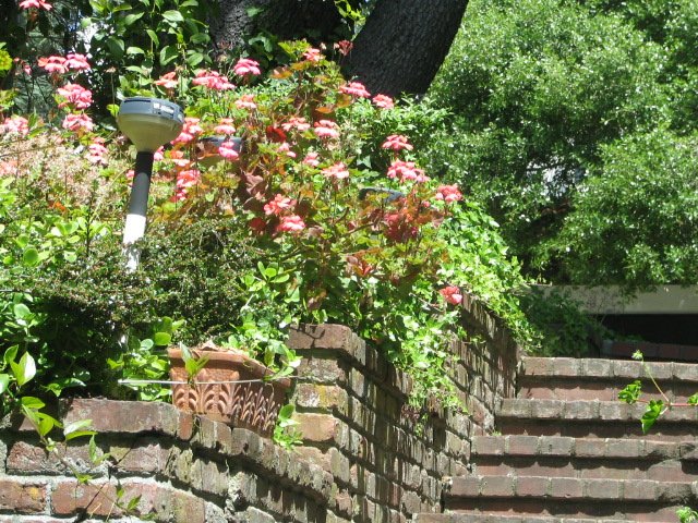 [Stairs+w+geraniums.jpg]