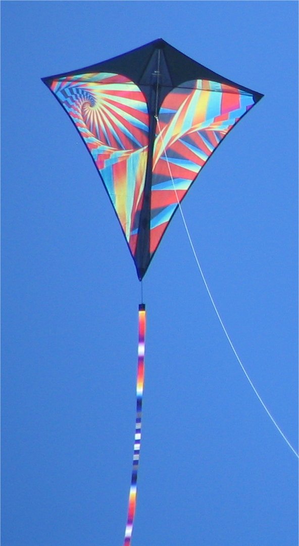 [Kite+Festival+Myrtle's+kite.jpg]